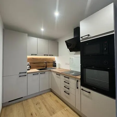 Amur Apartment *